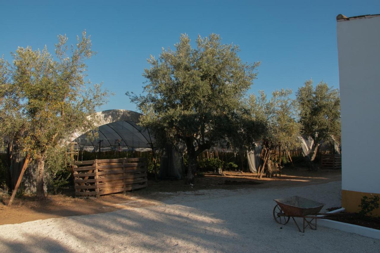 Quinta De Santana Da Varzea Abrantes Exterior photo