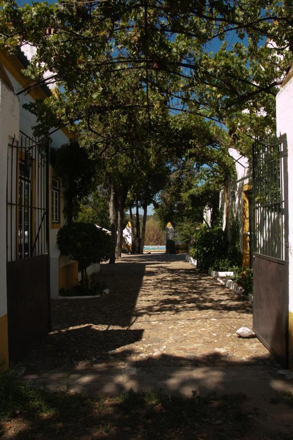 Quinta De Santana Da Varzea Abrantes Exterior photo