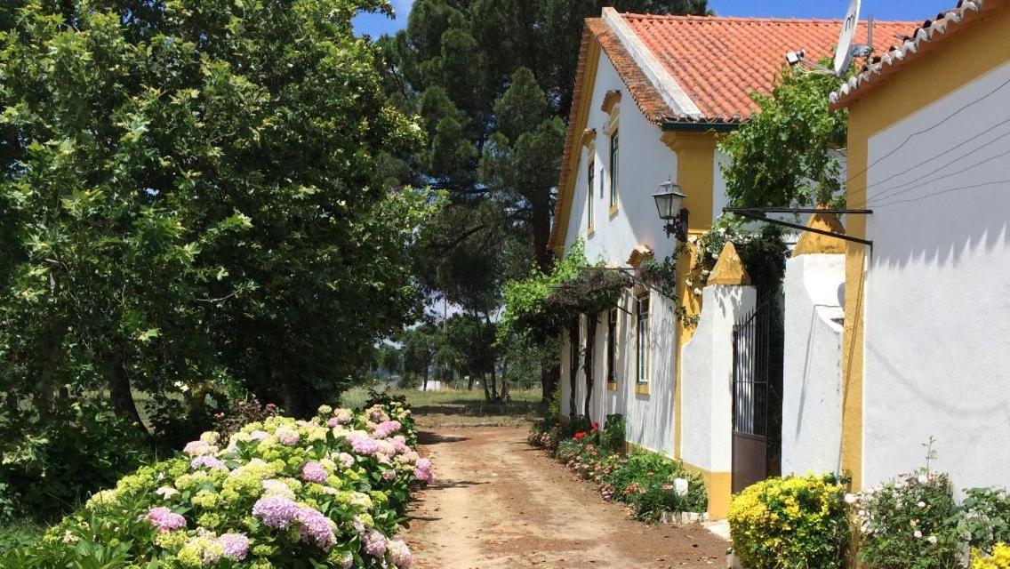 Quinta De Santana Da Varzea Abrantes Exterior photo